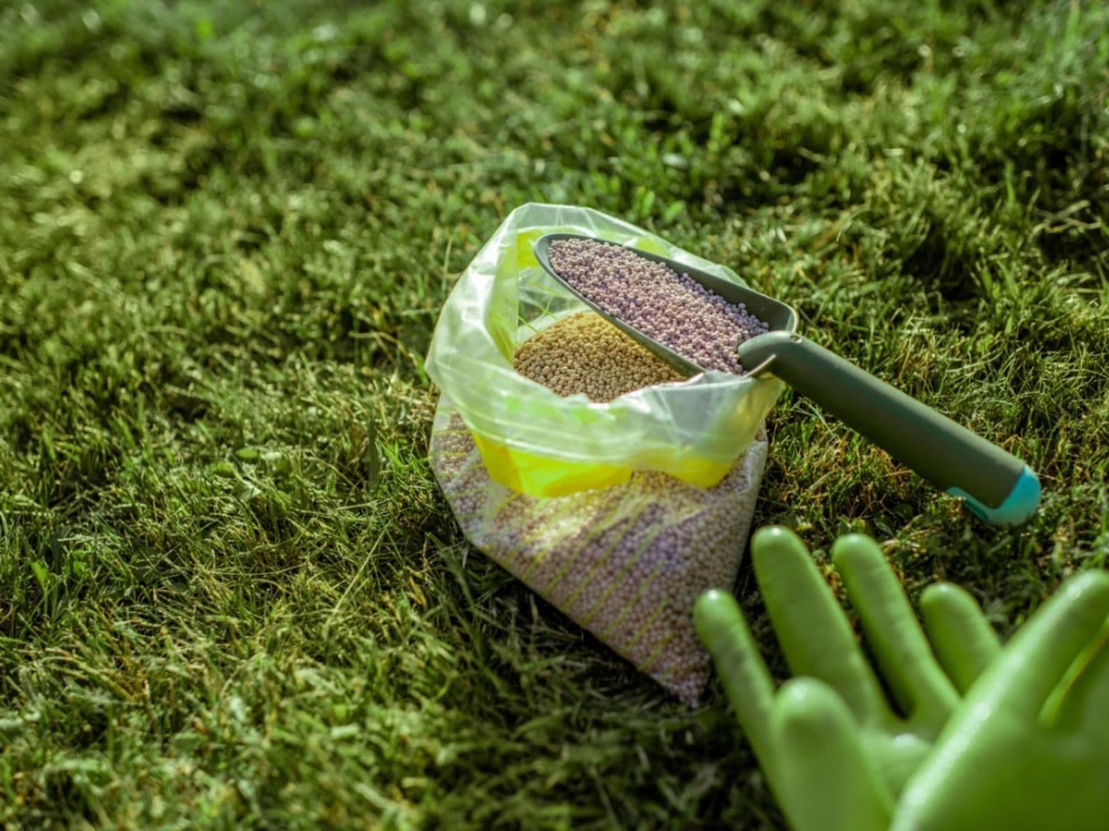 Fertilizers